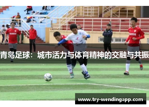青岛足球：城市活力与体育精神的交融与共振