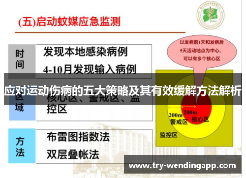 应对运动伤病的五大策略及其有效缓解方法解析 应对运动伤病的五大策略及其有效缓解方法解析