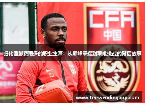 归化国脚费南多的职业生涯:从巅峰荣耀到艰难挑战的背后故事 归化国脚费南多的职业生涯:从巅峰荣耀到艰难挑战的背后故事