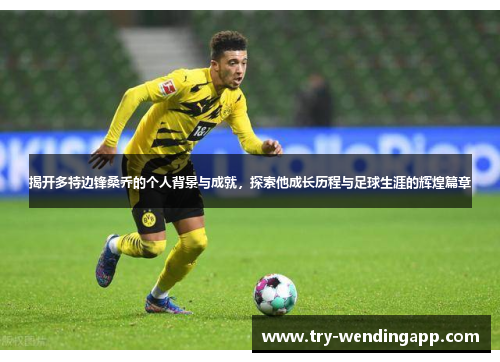 揭开多特边锋桑乔的个人背景与成就,探索他成长历程与足球生涯的辉煌篇章 揭开多特边锋桑乔的个人背景与成就,探索他成长历程与足球生涯的辉煌篇章
