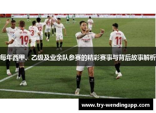 每年西甲、乙级及业余队参赛的精彩赛事与背后故事解析 每年西甲、乙级及业余队参赛的精彩赛事与背后故事解析