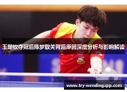 王楚钦夺冠后陈梦取关背后原因深度分析与影响解读 王楚钦夺冠后陈梦取关背后原因深度分析与影响解读