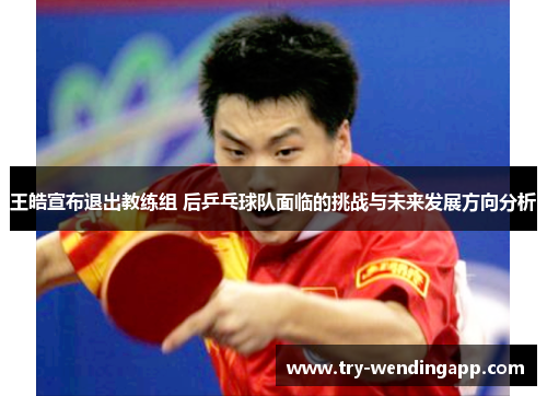 王皓宣布退出教练组 后乒乓球队面临的挑战与未来发展方向分析 王皓宣布退出教练组 后乒乓球队面临的挑战与未来发展方向分析