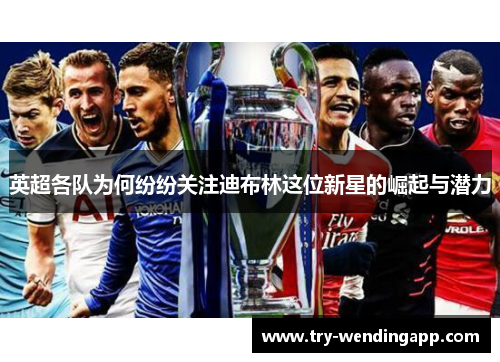 英超各队为何纷纷关注迪布林这位新星的崛起与潜力