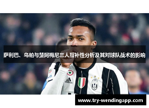 萨利巴、乌帕与楚阿梅尼三人互补性分析及其对球队战术的影响
