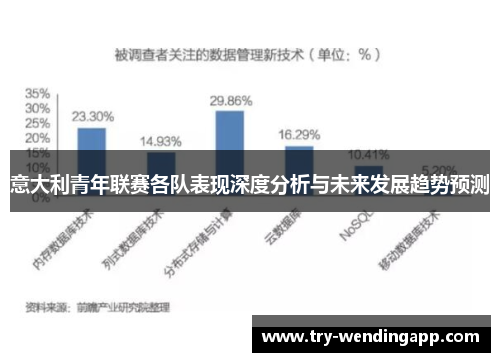 意大利青年联赛各队表现深度分析与未来发展趋势预测