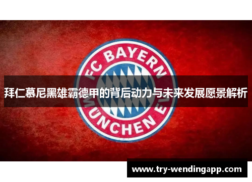 拜仁慕尼黑雄霸德甲的背后动力与未来发展愿景解析 拜仁慕尼黑雄霸德甲的背后动力与未来发展愿景解析