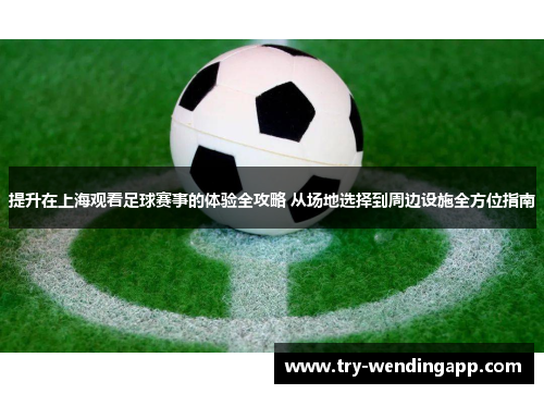 提升在上海观看足球赛事的体验全攻略 从场地选择到周边设施全方位指南
