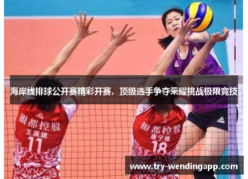 海岸线排球公开赛精彩开赛,顶级选手争夺荣耀挑战极限竞技 海岸线排球公开赛精彩开赛,顶级选手争夺荣耀挑战极限竞技