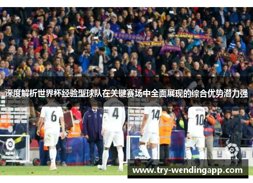 深度解析世界杯经验型球队在关键赛场中全面展现的综合优势潜力强 深度解析世界杯经验型球队在关键赛场中全面展现的综合优势潜力强