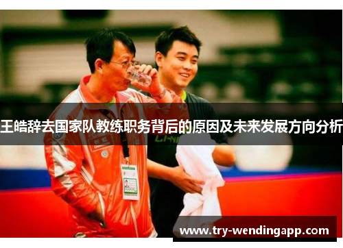 王皓辞去国家队教练职务背后的原因及未来发展方向分析 王皓辞去国家队教练职务背后的原因及未来发展方向分析