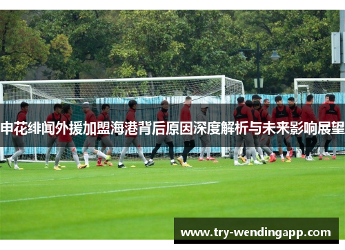 申花绯闻外援加盟海港背后原因深度解析与未来影响展望